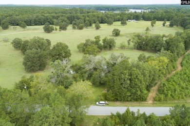 Lake Lot For Sale in Prosperity, South Carolina