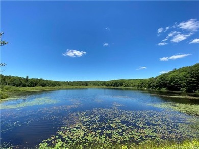 *POND RIDGE* Litchfield County CT Land for Sale: 118+- acres - photo 2