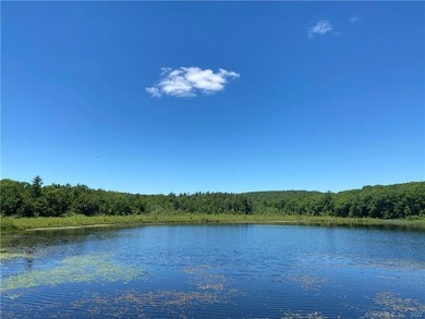 *POND RIDGE* Litchfield County CT Land for Sale: 118+- acres - photo 3