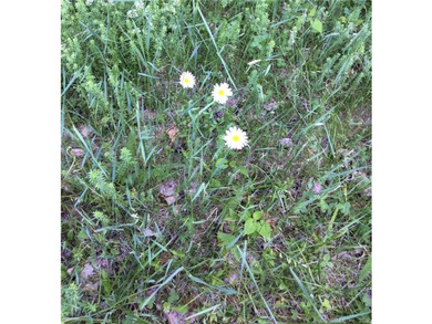 *POND RIDGE* Litchfield County CT Land for Sale: 118+- acres - photo 5