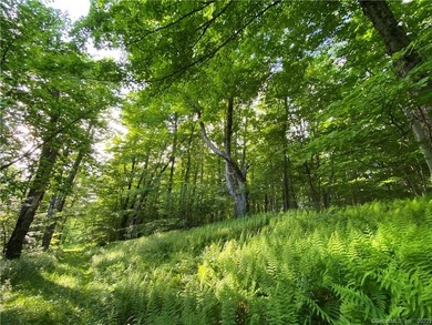 *POND RIDGE* Litchfield County CT Land for Sale: 118+- acres - photo 6