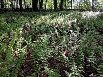 *POND RIDGE* Litchfield County CT Land for Sale: 118+- acres - photo 7