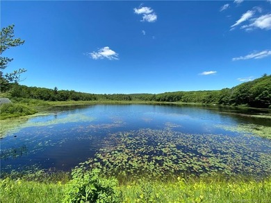 *POND RIDGE* Litchfield County CT Land for Sale: 118+- acres - photo 8