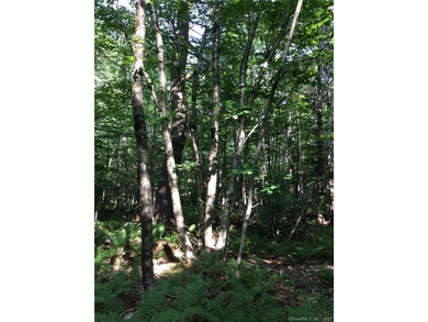 *POND RIDGE* Litchfield County CT Land for Sale: 118+- acres - photo 10