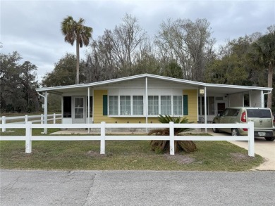 Lake Home For Sale in Lake Panasoffkee, Florida