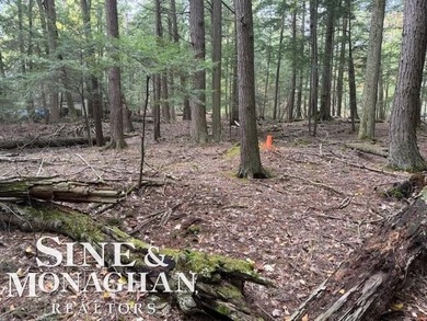 Lake Michigan - Leelanau County Lot For Sale in Northport Michigan