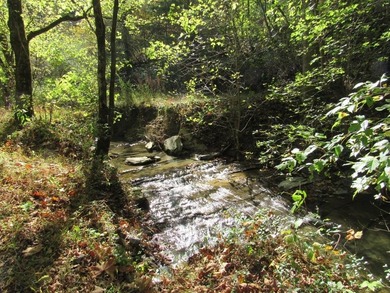 North Fork Holston River Acreage For Sale in Bristol Virginia