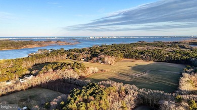 Discover an extraordinary opportunity to own 47.11 acres of - photo 13