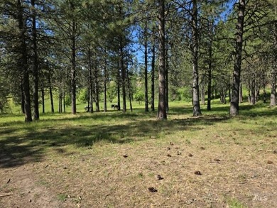 Lake Views - 26.5 Acres - Borders Corps of Engineers Land! Just - photo 19