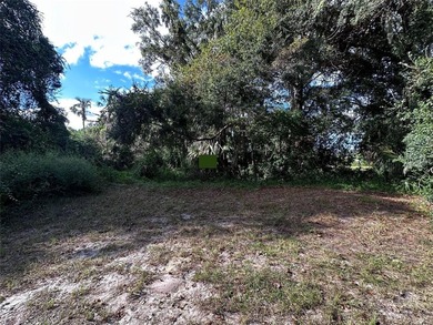 This 0.28 acre lot is in downtown Inglis, Florida, and is - photo 22