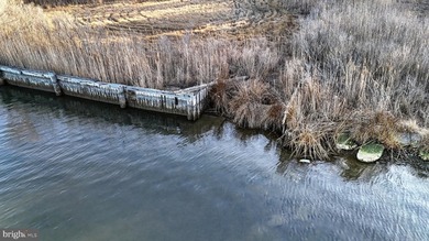 Discover an extraordinary opportunity to own 47.11 acres of - photo 23