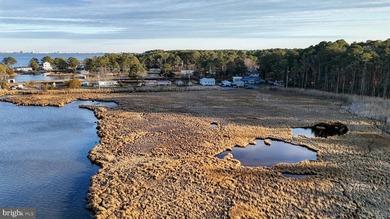 Discover an extraordinary opportunity to own 47.11 acres of - photo 25