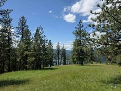 Lake Views - 26.5 Acres - Borders Corps of Engineers Land! Just - photo 33