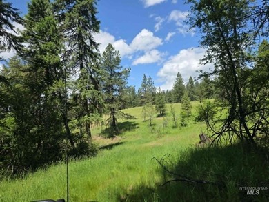 Lake Views - 26.5 Acres - Borders Corps of Engineers Land! Just - photo 34