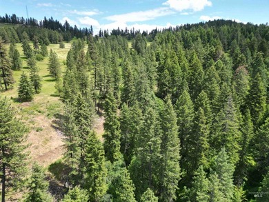 Lake Views - 26.5 Acres - Borders Corps of Engineers Land! Just - photo 38