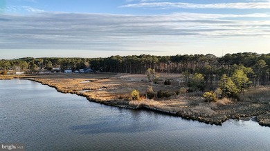 Discover an extraordinary opportunity to own 47.11 acres of - photo 38