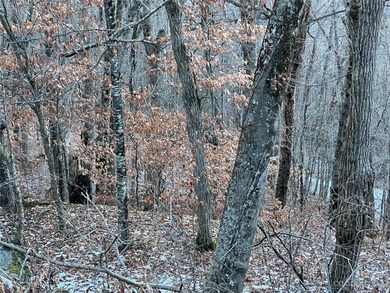 Mars Hill Reservoir Lot For Sale in Mars Hill North Carolina