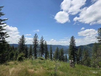 Lake Views - 26.5 Acres - Borders Corps of Engineers Land! Just - photo 42