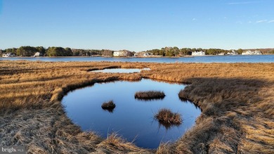 Discover an extraordinary opportunity to own 47.11 acres of - photo 43