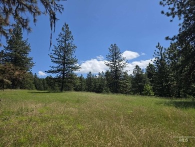 Lake Views - 26.5 Acres - Borders Corps of Engineers Land! Just - photo 45