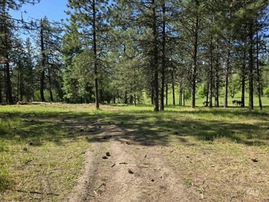 Lake Views - 26.5 Acres - Borders Corps of Engineers Land! Just - photo 47