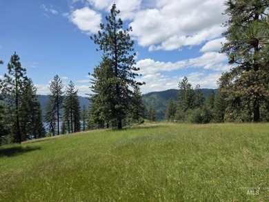 Lake Views - 26.5 Acres - Borders Corps of Engineers Land! Just - photo 48