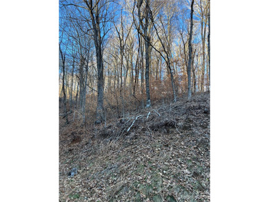 Mars Hill Reservoir Lot For Sale in Mars Hill North Carolina