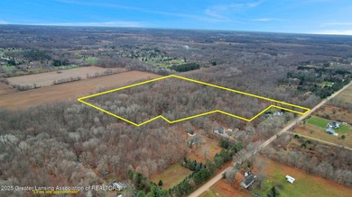 Lake Acreage For Sale in Fowlerville, Michigan