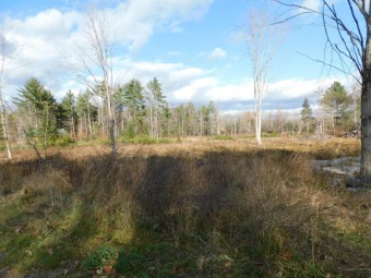 Lake Winnecook / Unity Pond Lot For Sale in Burnham Maine