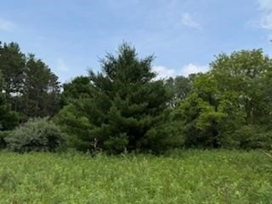 Lake Wisconsin - Sauk County Lot For Sale in Merrimac Wisconsin