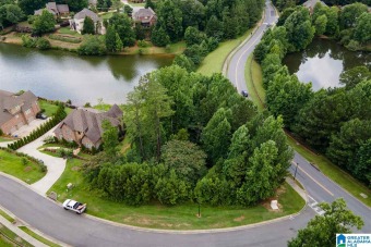Lake Trace Lot For Sale in Hoover Alabama