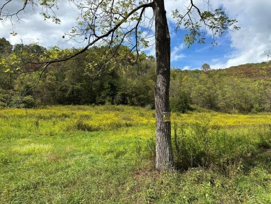 Greenbrier River Lot Sale Pending in Hinton West Virginia