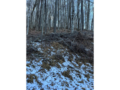 Mars Hill Reservoir Lot For Sale in Mars Hill North Carolina