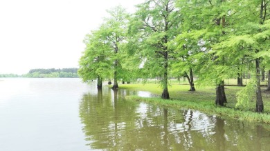 Lake Home For Sale in Zwolle, Louisiana