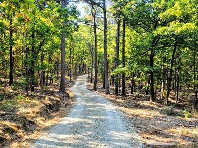 (private lake, pond, creek) Acreage For Sale in Talihina Oklahoma