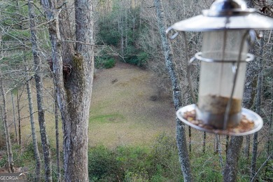 Absolute Privacy & Adventure: 10+ Acre Legacy Estate Bordering - photo 13