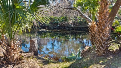 Experience timeless Old Florida charm with this rare waterfront - photo 23