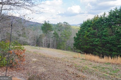 Absolute Privacy & Adventure: 10+ Acre Legacy Estate Bordering - photo 41