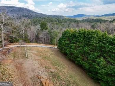 Absolute Privacy & Adventure: 10+ Acre Legacy Estate Bordering - photo 42