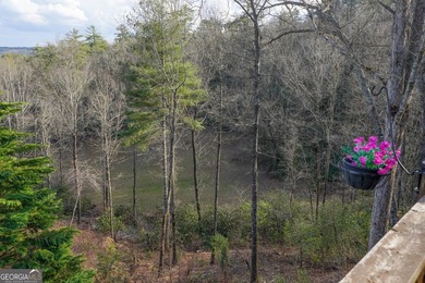 Absolute Privacy & Adventure: 10+ Acre Legacy Estate Bordering - photo 49