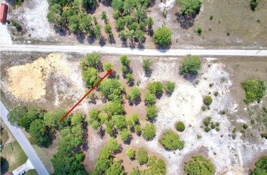 Lake Lot For Sale in Lake Placid, Florida