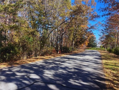 Lake Keowee Lot For Sale in Salem South Carolina