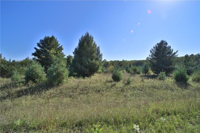 Fawn Lake - Todd County Lot For Sale in Browerville Minnesota