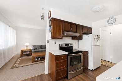 Incredible opportunity to own a fantastic, hassle-free condo at - photo 8