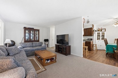 Incredible opportunity to own a fantastic, hassle-free condo at - photo 10
