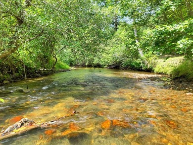 Escape to serenity on your own secluded creek haven in the North - photo 44