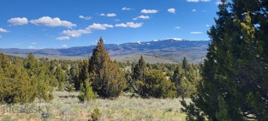 (private lake, pond, creek) Acreage For Sale in Alder Montana