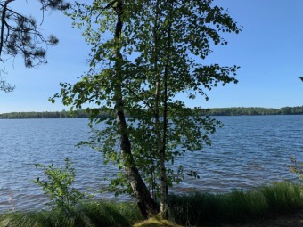 High Lake Lot For Sale in Land O Lakes Wisconsin