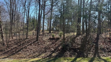 Lake Lot Sale Pending in Greenback, Tennessee