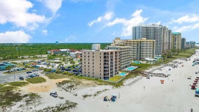 Move-in ready 2BR/2BA Gulf-front condo in one of Perdido Key's - photo 33